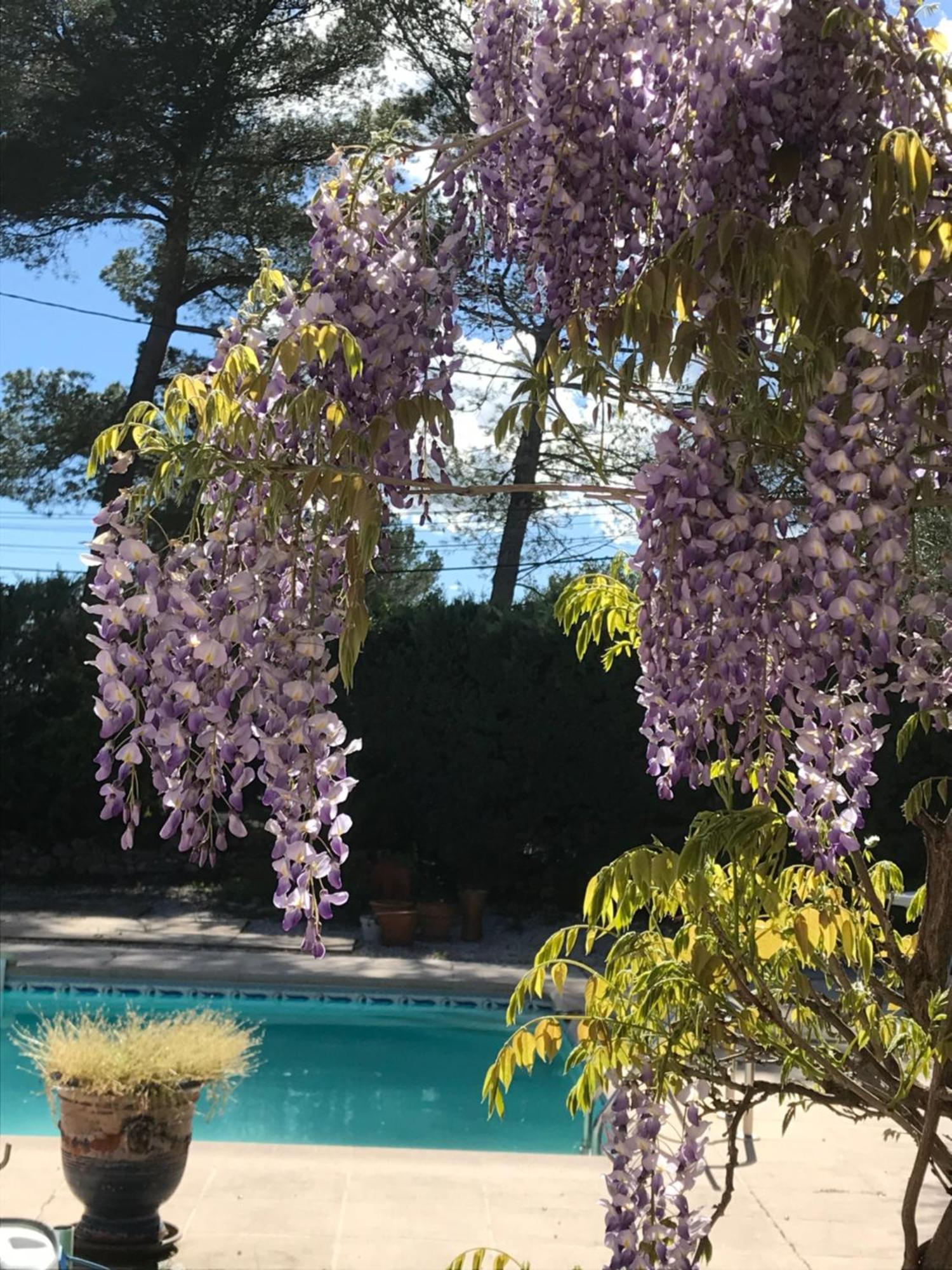 فندق Le Patio Fleuri لورج المظهر الخارجي الصورة
